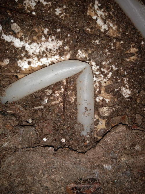 柏乡堵点精准查找